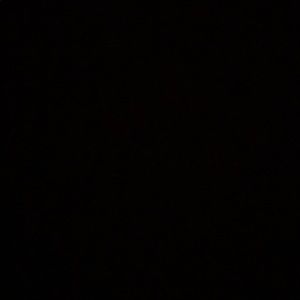 Meet your Posher, Alanna